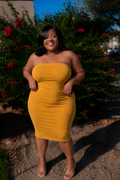 Mustard Tube Top Dress +
